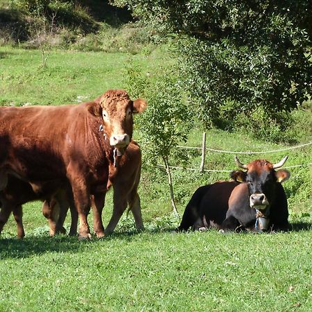 Agriturismo Giandriale Tavarone Екстер'єр фото