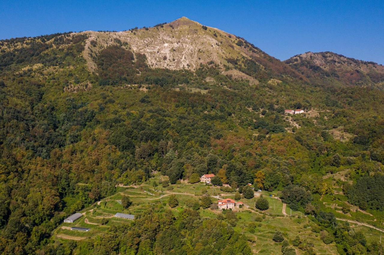 Agriturismo Giandriale Tavarone Екстер'єр фото