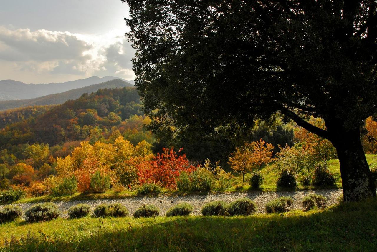 Agriturismo Giandriale Tavarone Екстер'єр фото
