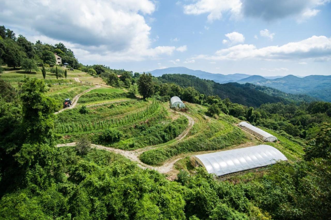 Agriturismo Giandriale Tavarone Екстер'єр фото