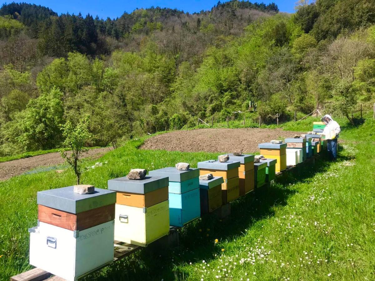 Agriturismo Giandriale Tavarone Екстер'єр фото