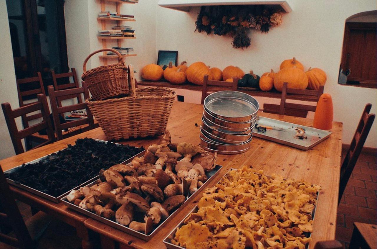 Agriturismo Giandriale Tavarone Екстер'єр фото