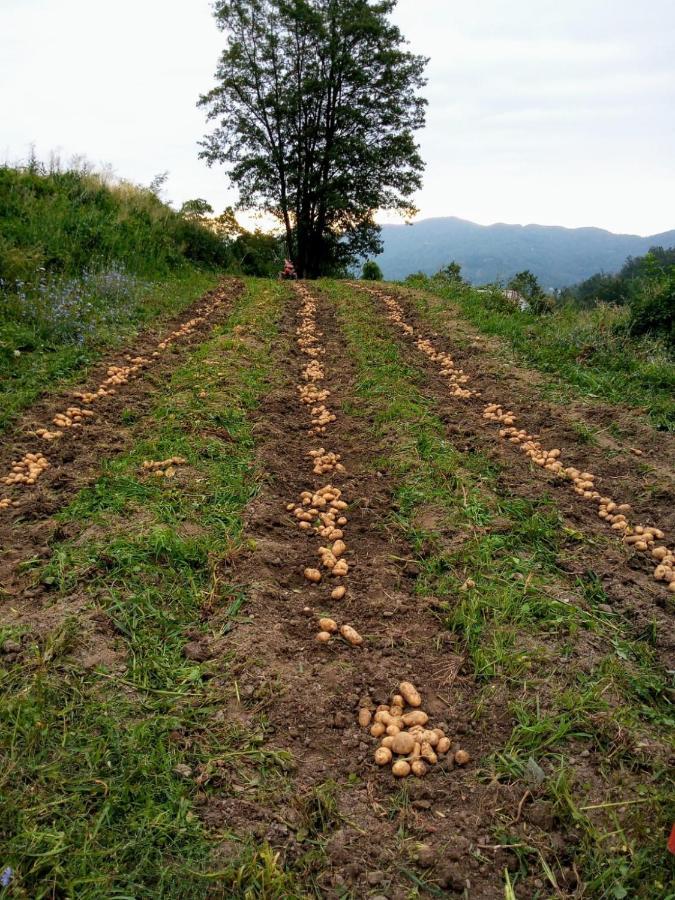 Agriturismo Giandriale Tavarone Екстер'єр фото