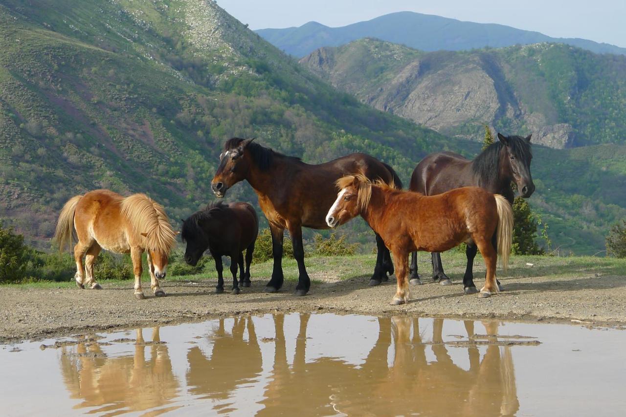 Agriturismo Giandriale Tavarone Екстер'єр фото