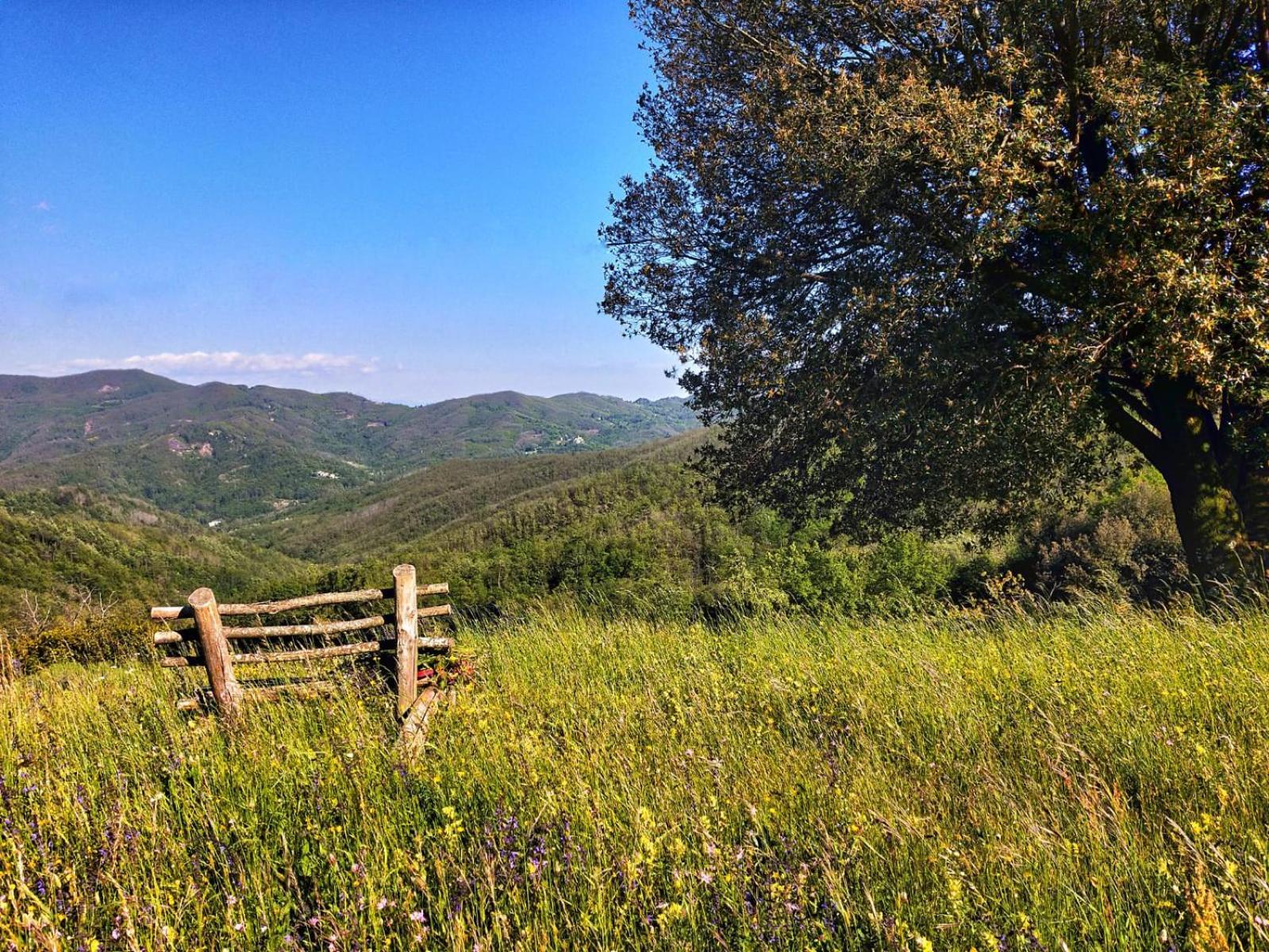 Agriturismo Giandriale Tavarone Екстер'єр фото